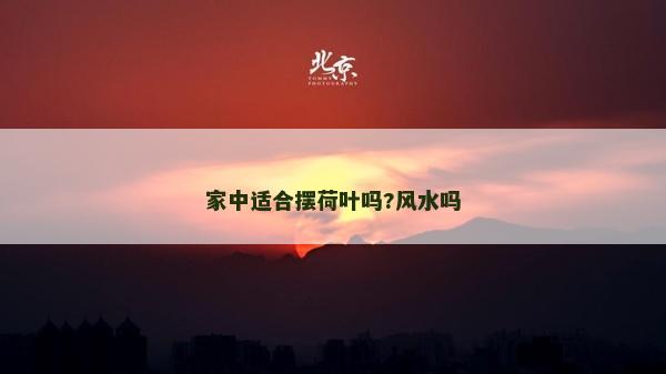 家中適合擺荷葉嗎?風水嗎 家中適合擺荷葉嗎?風水嗎