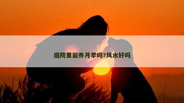 庭院里能養月季嗎?風水好嗎