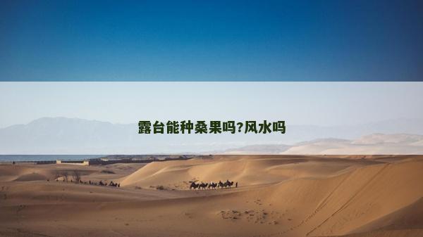 露臺(tái)能種桑果嗎?風(fēng)水嗎 露臺(tái)能種桑果嗎?風(fēng)水嗎
