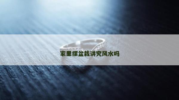 家里擺盆栽講究風(fēng)水嗎