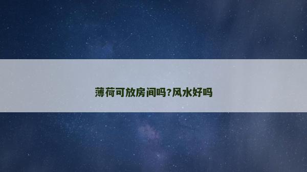 薄荷可放房間嗎?風水好嗎