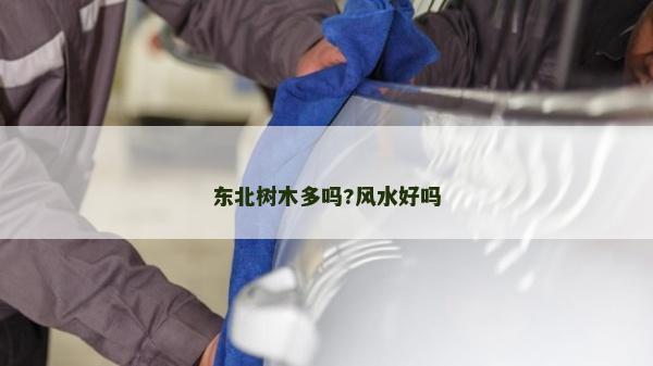 東北樹木多嗎?風水好嗎