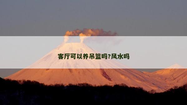 客廳可以養(yǎng)吊籃嗎?風水嗎