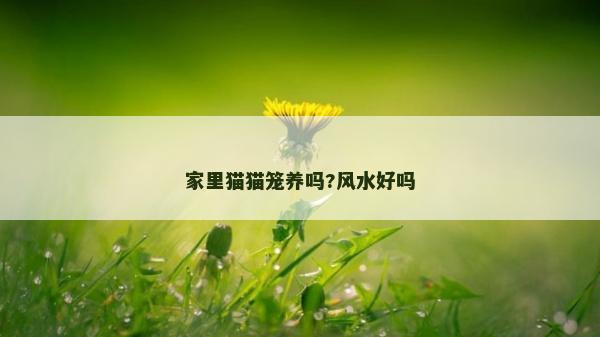 家里貓貓籠養嗎?風水好嗎