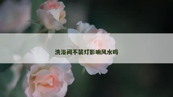 洗浴間不裝燈影響風水嗎