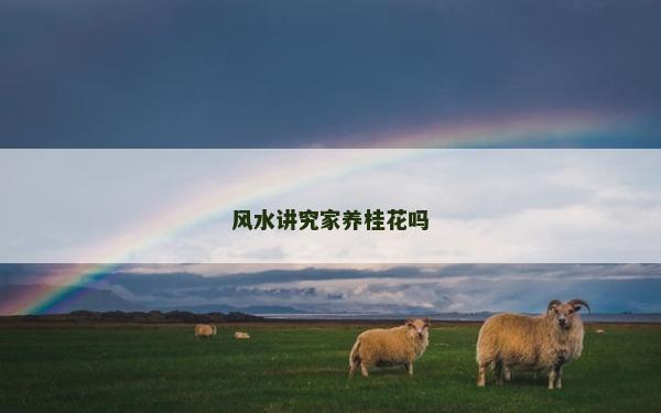 風水講究家養(yǎng)桂花嗎