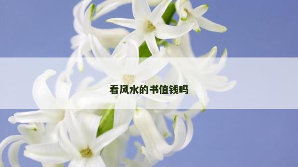 看風(fēng)水的書值錢嗎