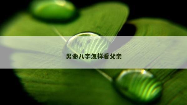 男命八字怎樣看父親