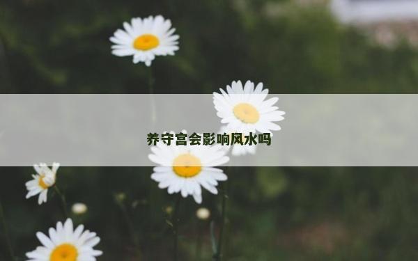 養守宮會影響風水嗎