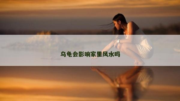 烏龜會影響家里風(fēng)水嗎