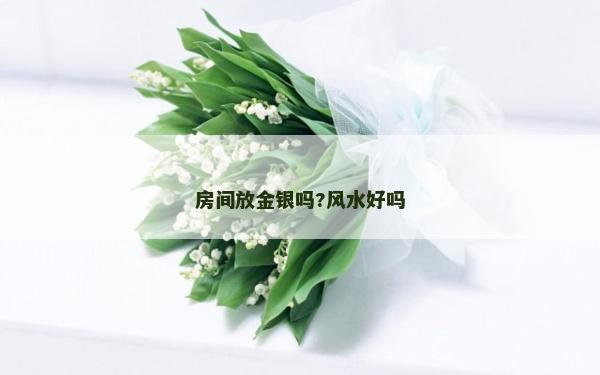 房間放金銀嗎?風水好嗎