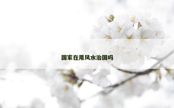 國家在用風(fēng)水治國嗎