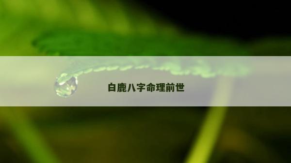 白鹿八字命理前世