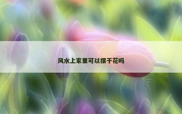 風(fēng)水上家里可以擺干花嗎