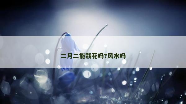 二月二能栽花嗎?風(fēng)水嗎