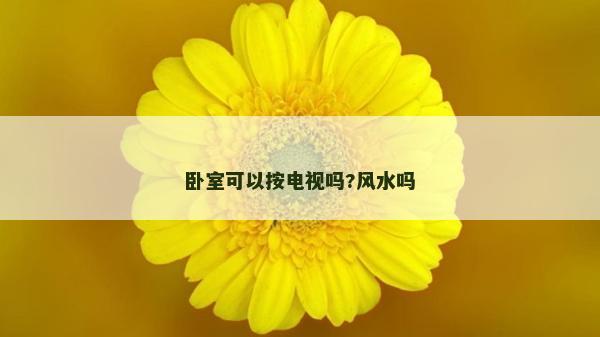 臥室可以按電視嗎?風水嗎