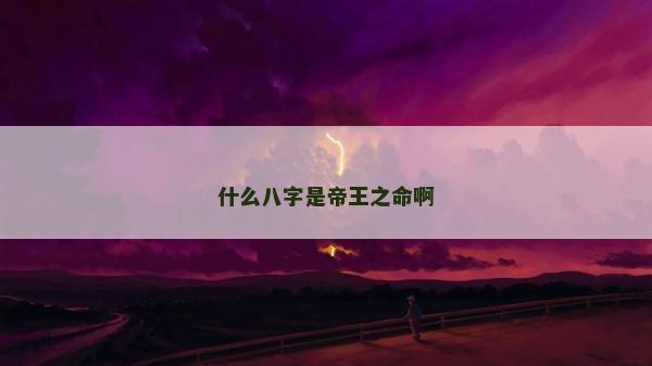 什么八字是帝王之命啊