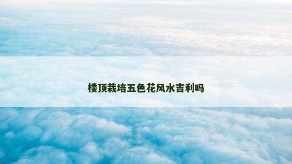 樓頂栽培五色花風水吉利嗎