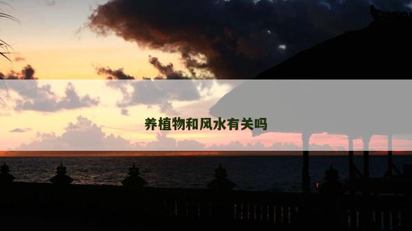 養(yǎng)植物和風(fēng)水有關(guān)嗎 養(yǎng)植物和風(fēng)水有關(guān)嗎