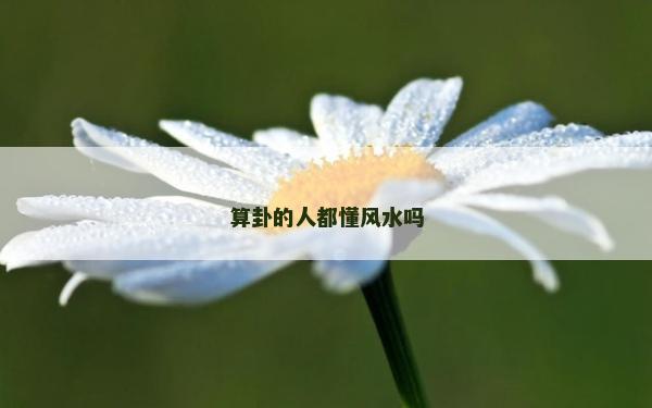 算卦的人都懂風水嗎
