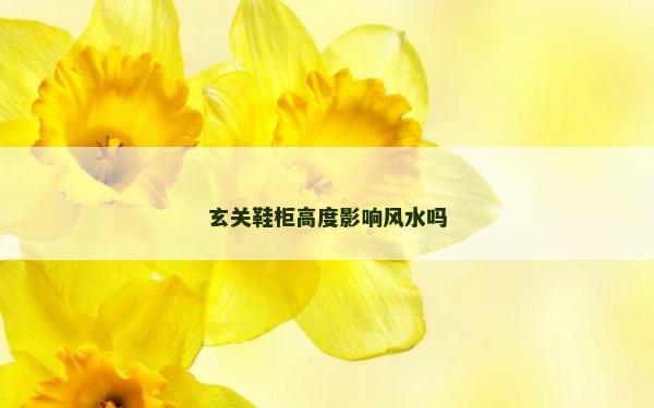 玄關鞋柜高度影響風水嗎