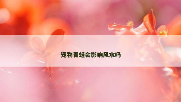 寵物青蛙會影響風水嗎