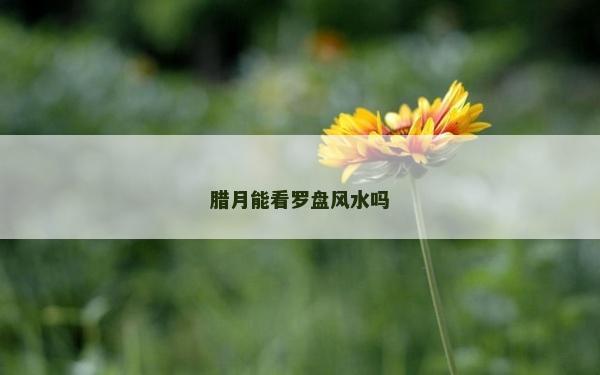 臘月能看羅盤風水嗎