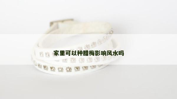 家里可以種臘梅影響風水嗎