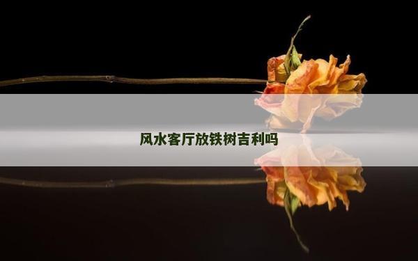 風(fēng)水客廳放鐵樹吉利嗎 風(fēng)水客廳放鐵樹吉利嗎
