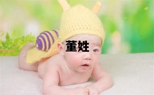 董姓朗朗上口的男孩名字,取什么名字好