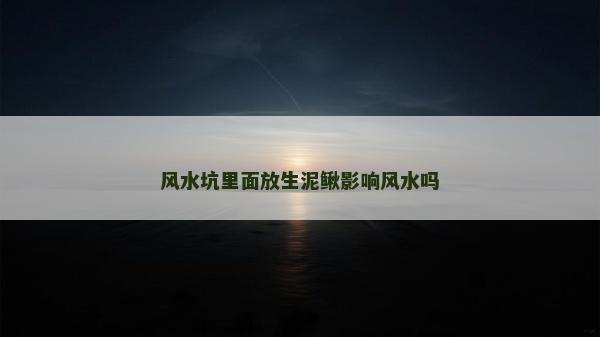 風水坑里面放生泥鰍影響風水嗎