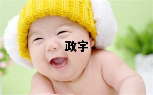 政字取名的寓意和含義 男孩用政字取名