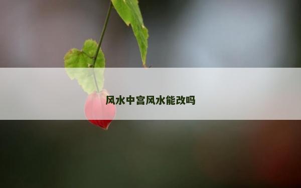 風(fēng)水中宮風(fēng)水能改嗎