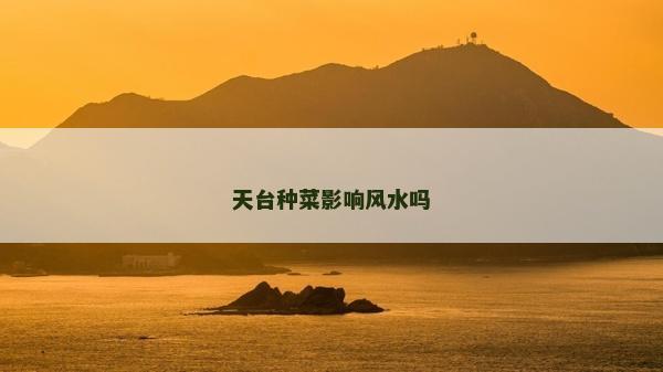 天臺種菜影響風水嗎