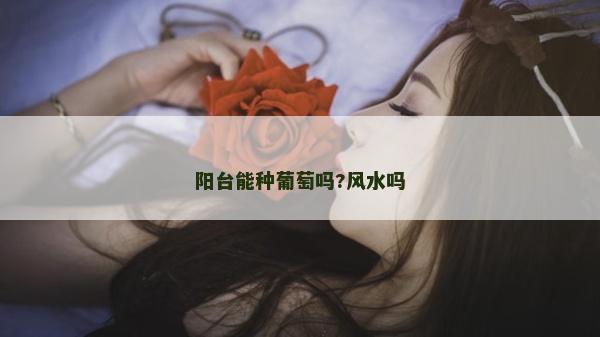 陽臺能種葡萄嗎?風水嗎
