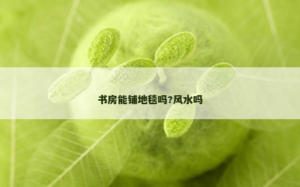 書(shū)房能鋪地毯?jiǎn)?風(fēng)水嗎