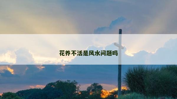 花養不活是風水問題嗎