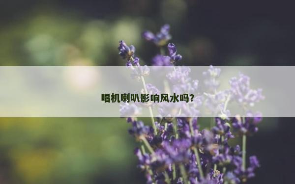 唱機喇叭影響風水嗎？