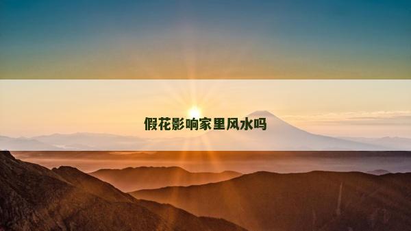 假花影響家里風(fēng)水嗎