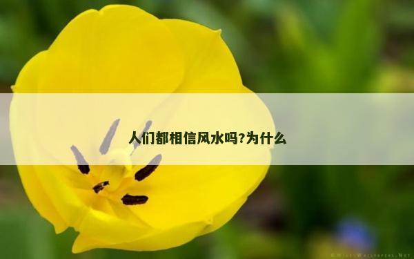 人們都相信風水嗎?為什么 人們都相信風水嗎?為什么