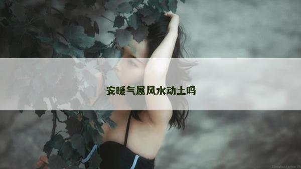 安暖氣屬風水動土嗎 安暖氣屬風水動土嗎
