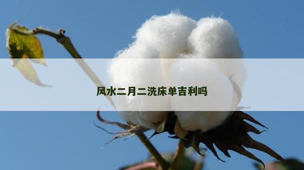 風(fēng)水二月二洗床單吉利嗎