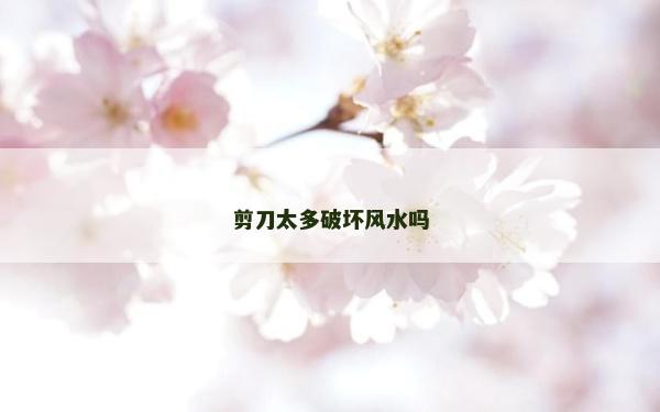 剪刀太多破壞風(fēng)水嗎 剪刀太多破壞風(fēng)水嗎