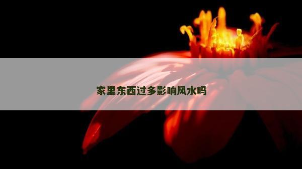 家里東西過多影響風水嗎