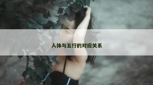 人體與五行的對應關系