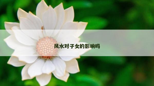 風(fēng)水對(duì)子女的影響嗎