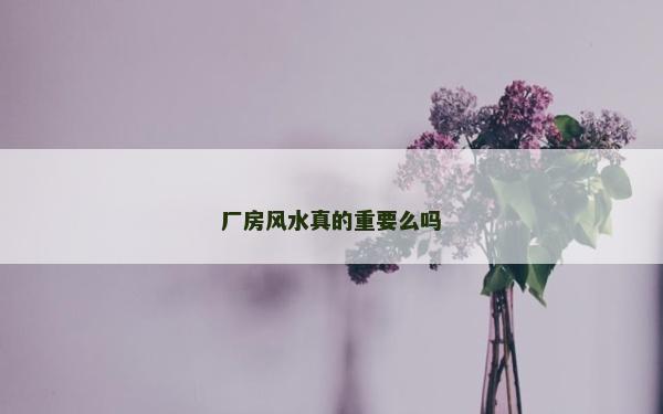 廠房風水真的重要么嗎