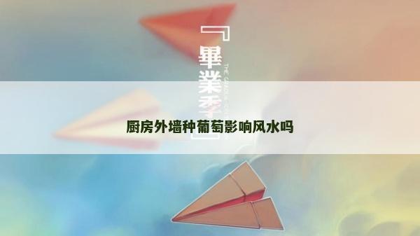 廚房外墻種葡萄影響風水嗎 廚房外墻種葡萄影響風水嗎