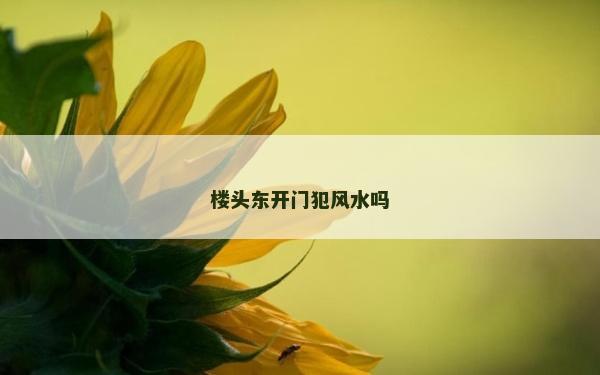 樓頭東開門犯風(fēng)水嗎