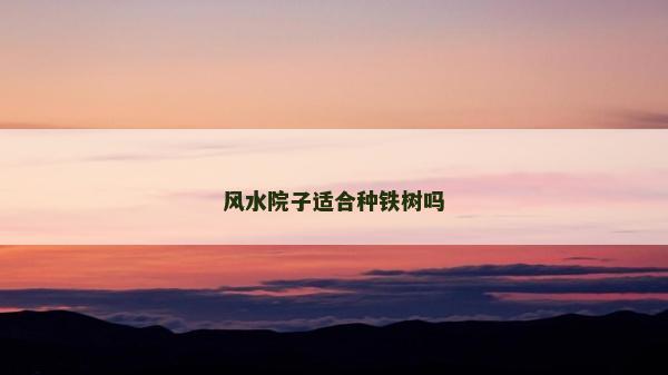 風(fēng)水院子適合種鐵樹嗎